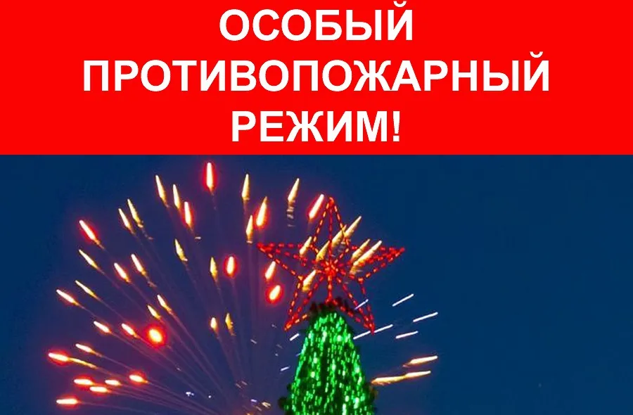 Об особом режиме в период новогодних праздников